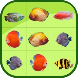 BOB2346:COM-WWW:BOB2346:COM截图1